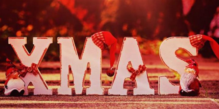 Cena di Natale al MIB