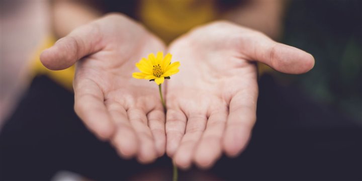 COVID-19: quando la cultura ci unisce davvero