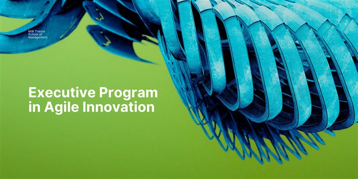 Executive Program in Agile Innovation