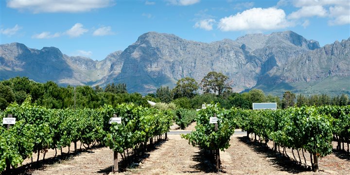 Convenzione MIB con Unione Italiana Vini e AGIVI