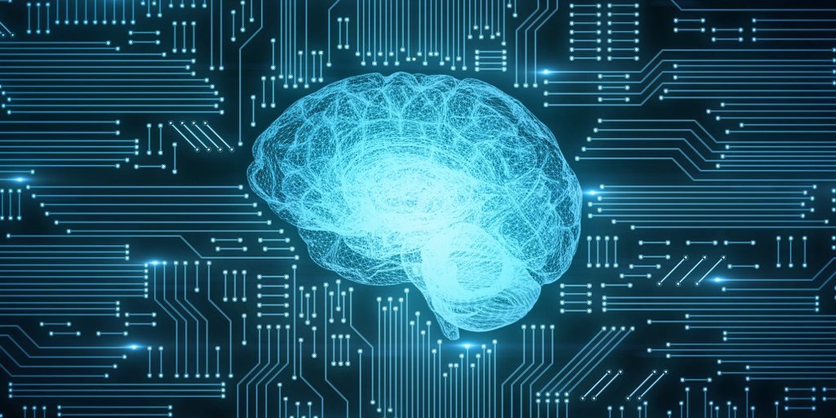 MIB Trieste co-founder of the Data Science & Artificial Intelligence Institute