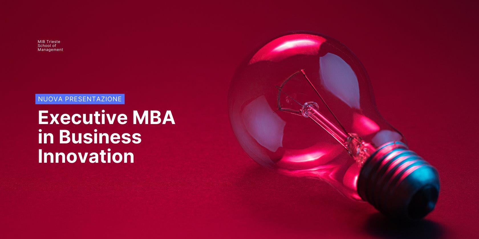 Executive MBA in Business Innovation: presentazione online