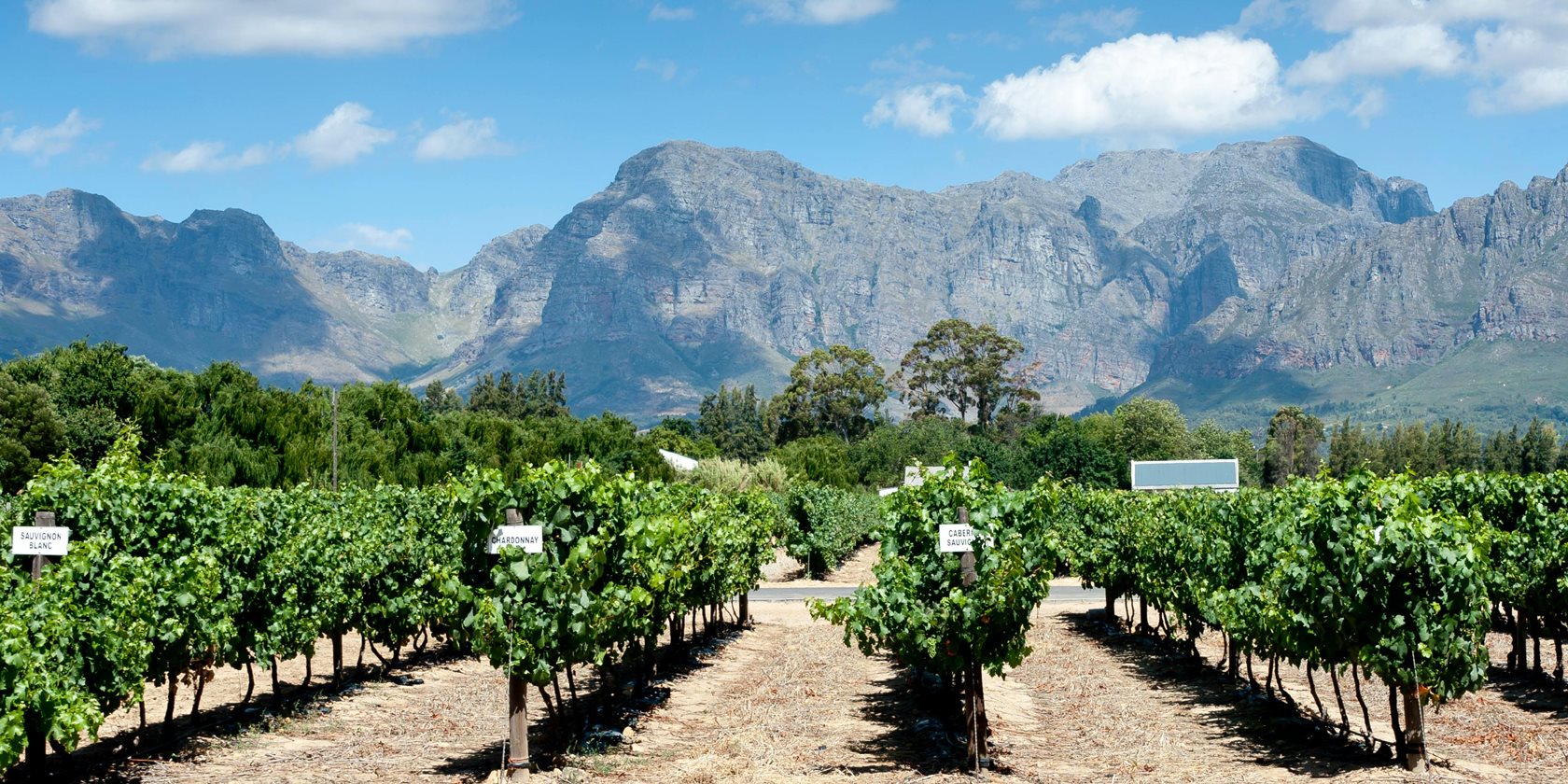 Convenzione MIB con Unione Italiana Vini e AGIVI