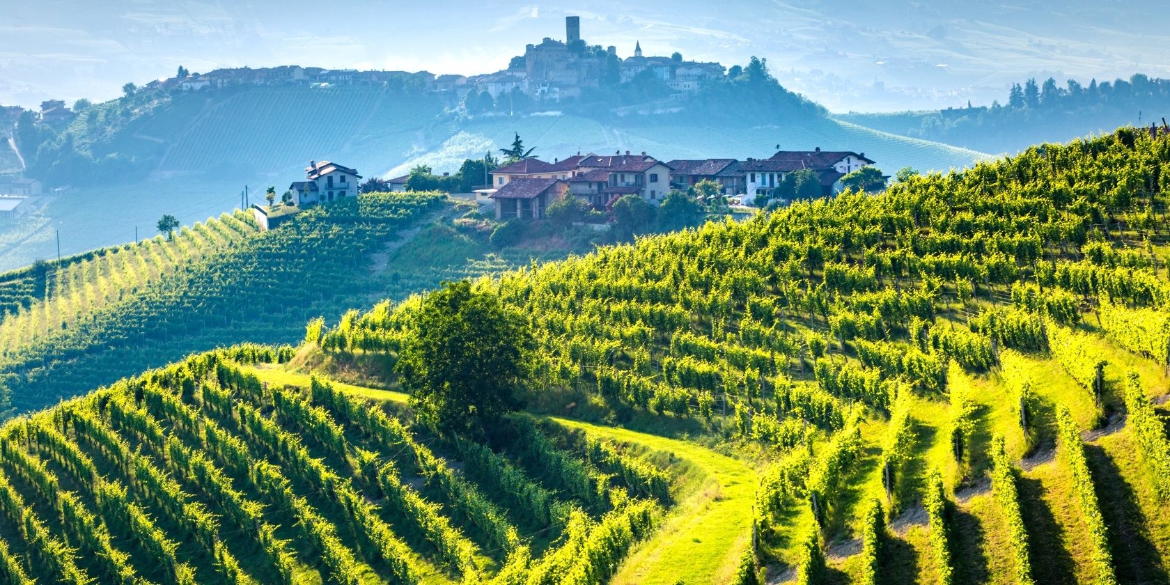 Wine on Tour 2025