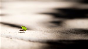 Economia dell'esperienza