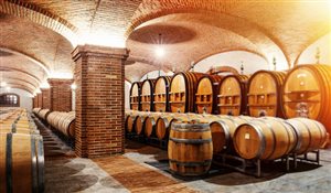 Cosa cambia nelle top 15 cantine italiane