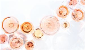 Trend globali nel vino