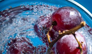 Il vino biologico e sostenibile cresce.