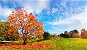 Dopo l’estate, ci aspetta anche un autunno “caldo”?