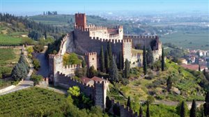 Business del Vino: l'Enologo diventa Manager