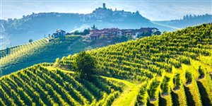 Wine Business Management on Tour: il roadshow di seminari gratuiti